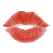 006