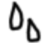 010