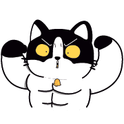 008