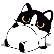 010