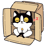 021