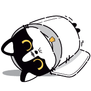 031
