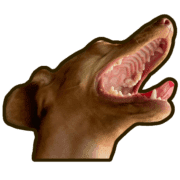 016