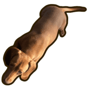 030