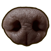 037