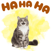 007