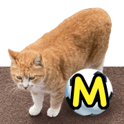 013