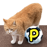 016