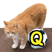 017