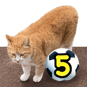 036