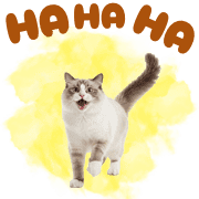 007