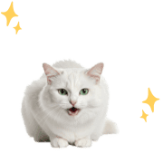 021
