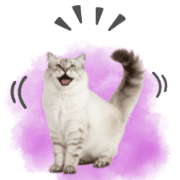 034