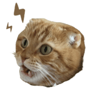 025