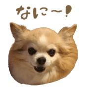 032