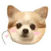 033