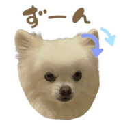 036