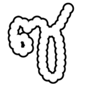 009