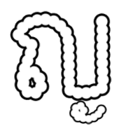 010
