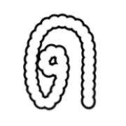 016