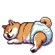 005