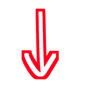 261