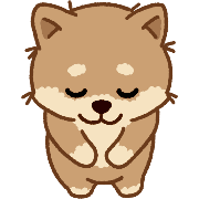 003