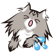 020