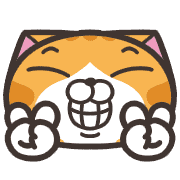 008