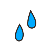 019