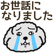 006