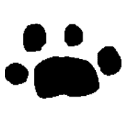 031