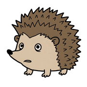 006