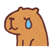 003