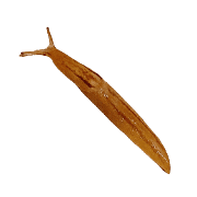 040