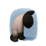 003