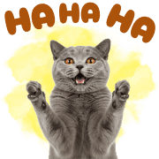 007