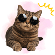 031