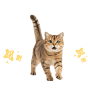032