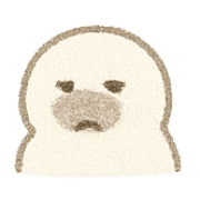 019