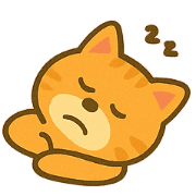 031