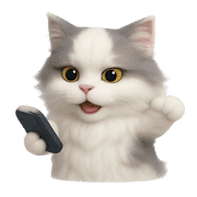 013