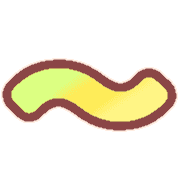 224
