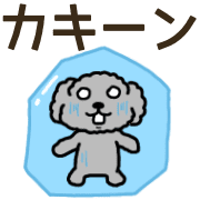 003