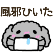 004