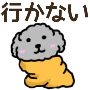 005