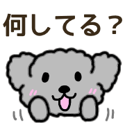 016