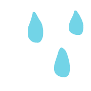 025