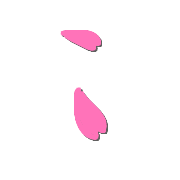005