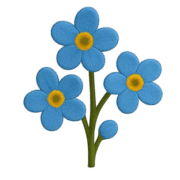 003